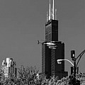 Chicago Photos and Photographers