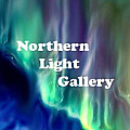 Northern Light Gallery Artist COOP