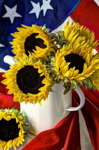 All American Sunflowers By Sarah Schroder Wins Best Of Show