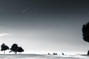 Snow Scapes