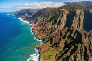New Prints From Kauai New Prints From Kauai