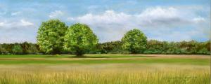 Artist Kathryn Foster Releases Summer Grasslands A Soft Pastel Painting