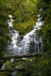 Upper Proxy Falls In Oregon