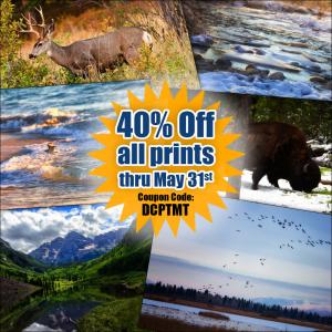 Photography By Jamie Tipton Print Sale 40 Percent Off