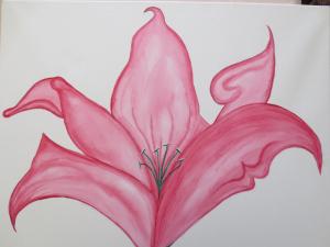Red Hot Lily, Pink Lily And Tulip  